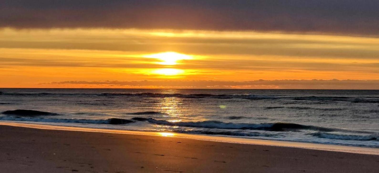 Louisiana 1 - Koninklijke Baan 71-B1 Daire De Haan Dış mekan fotoğraf